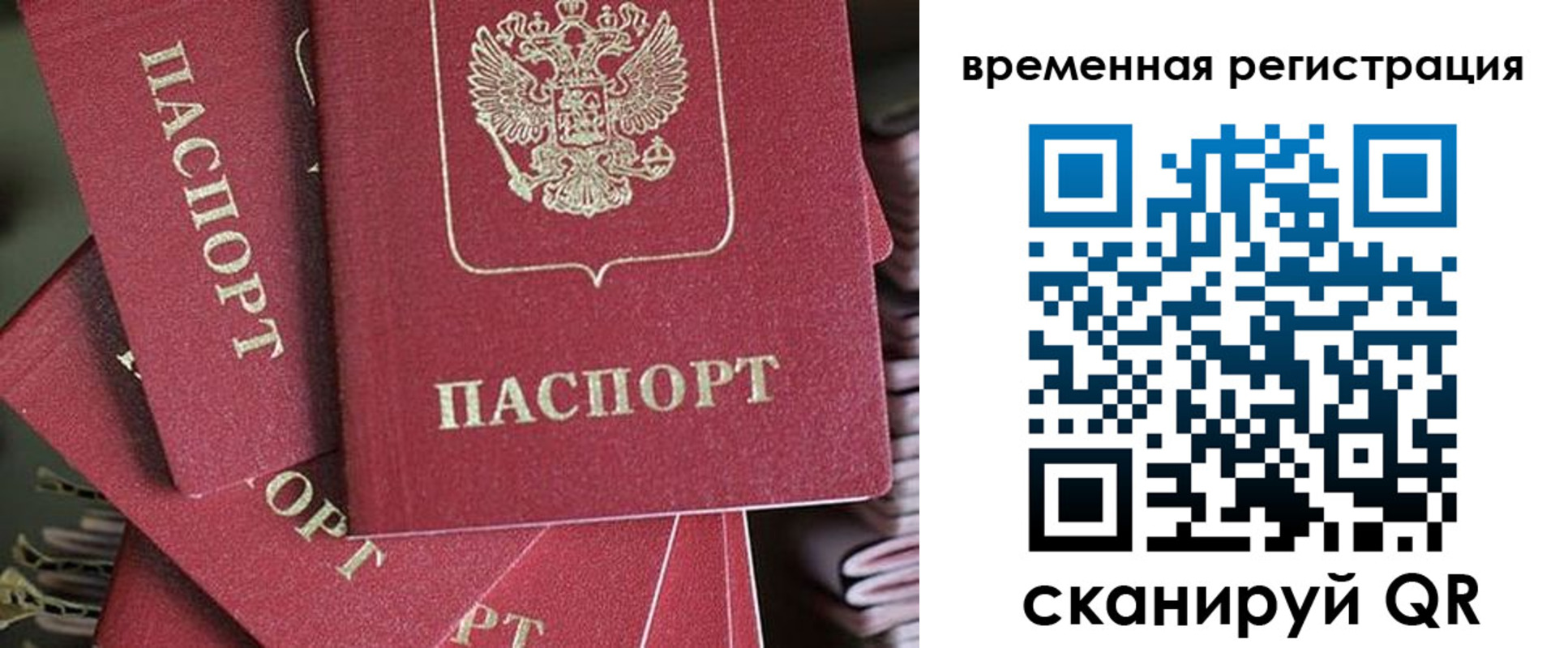 прописка в квартире в Брянской области